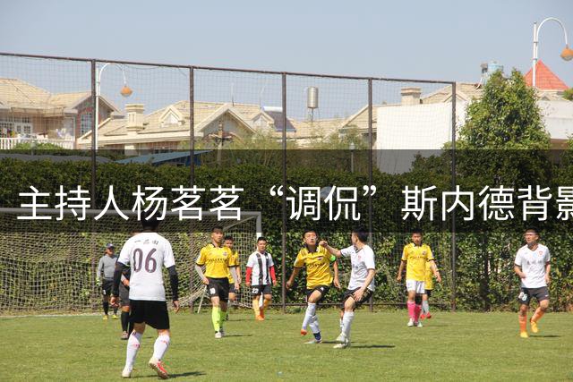 主持人杨茗茗“调侃”斯内德背影：头发少还挺胖，能懂球吗？
